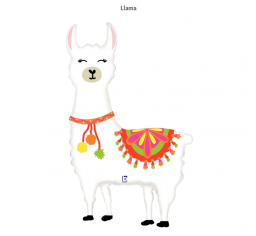 Llama shape